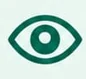 Vision